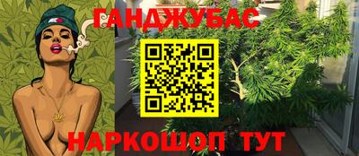гидра Старая Купавна